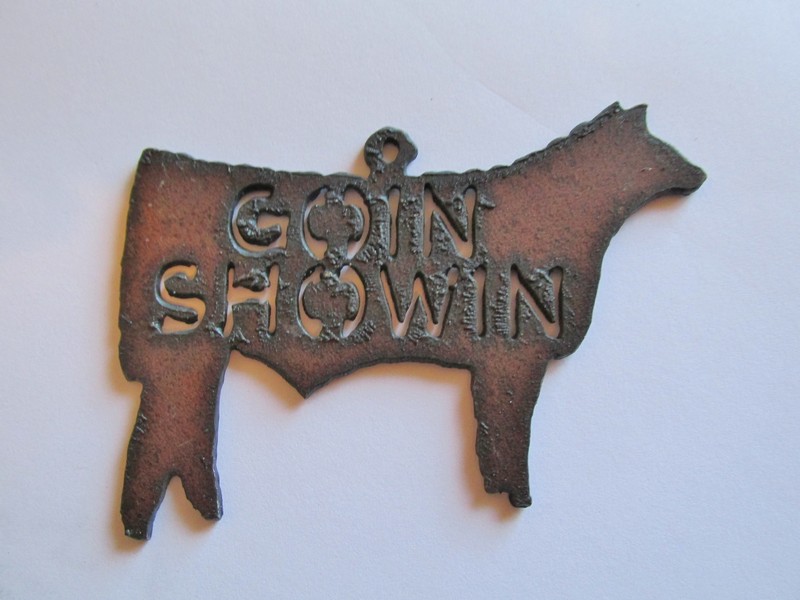 (image for) Goin showin - Show Steer #ORN-BY017-B